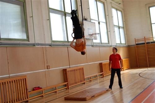 Obrázek v galerii
